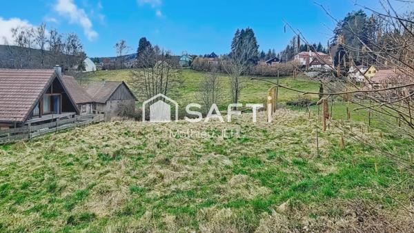 Terrain constructible 1167 m² - Le Hohwald - lisière de forêt et ruisseau