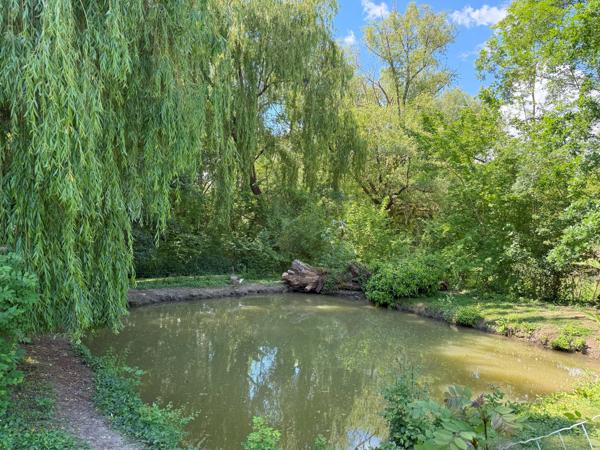 Propriété de plain pied avec par arboré, piscine et étang