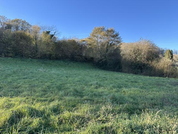 Moumour (64400) Terrain à Bâtir