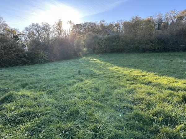 Moumour (64400) Terrain à Bâtir