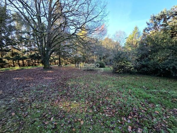 🏡 Grande maison familiale – 206 m² – Parcelle 17 457 m²