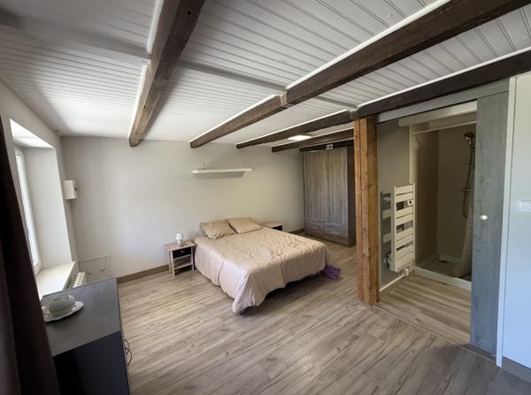 Magnifique propriété à 12 km de Montauban ideal projet professionnel et saisonnier - L'honor-De-Cos (82130)
