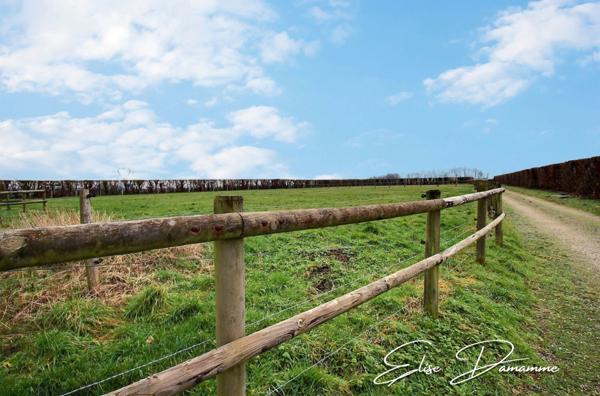 IDEAL CHEVAUX - Propriété comprenant maison, gîte et dépendances sur 9900m²