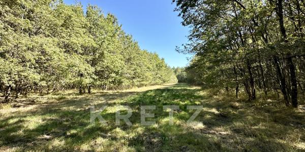 Propriété de chasse rénovée