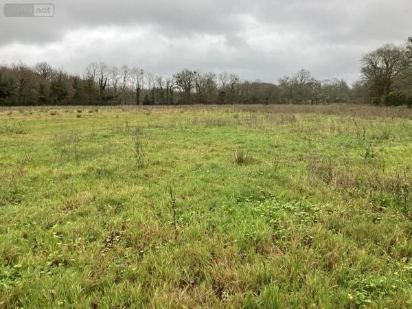 Achat - Terrain à bâtir Pluneret 56400 290 m 2