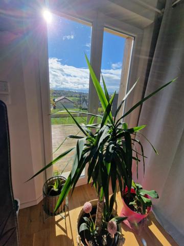 Maison indépendante à vendre 5 pièces NEUFCHATEAU (88) avec GARAGE, TERRASSE et TERRAIN