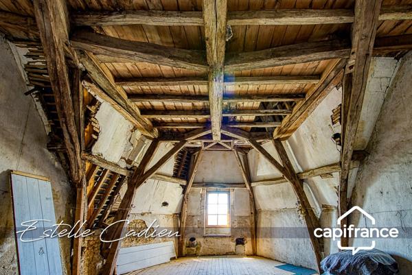 Propriété d’exception  – Château XIXe à CHANTONNAY (85)
