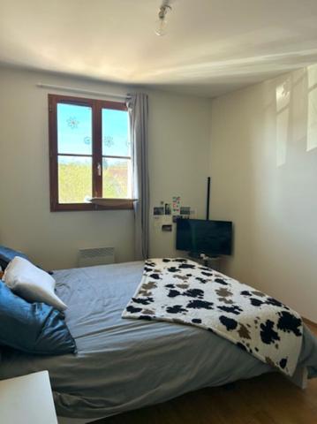 Appartement LAMOTTE-BEUVRON