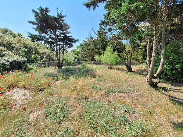 Maison 6 chambres la Tranche sur Mer
