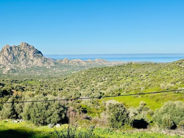 Saint-Florent (20217) Ensemble immobilier avec auberge et villa à Casta