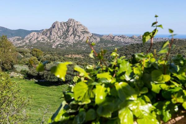 Saint-Florent (20217) Ensemble immobilier avec auberge et villa à Casta