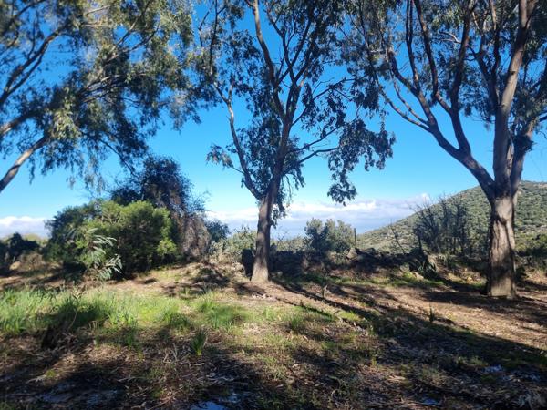 Saint-Florent (20217) Ensemble immobilier avec auberge et villa à Casta