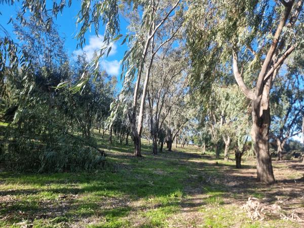 Saint-Florent (20217) Ensemble immobilier avec auberge et villa à Casta