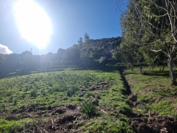 Saint-Florent (20217) Ensemble immobilier avec auberge et villa à Casta