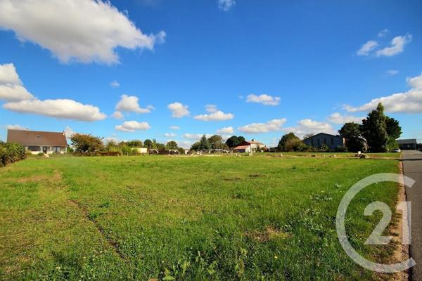 Terrain à vendre  664 m2 SERIS - 41