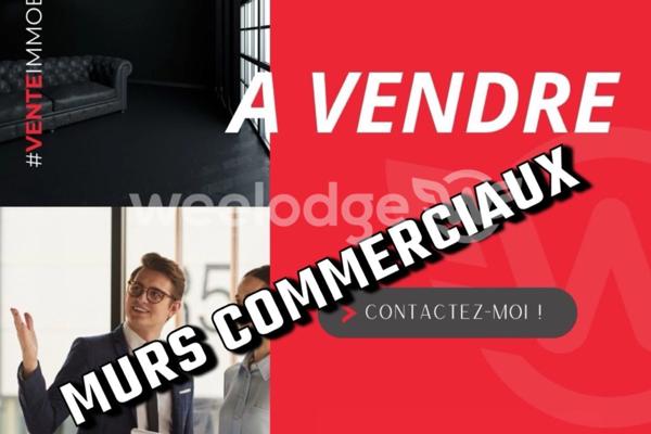 Autre à vendre à Cornebarrieu