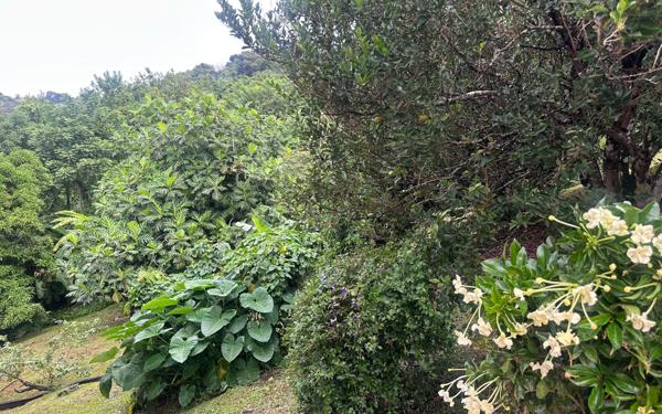 Maison à vendre    8 pièces •  Sainte-Luce