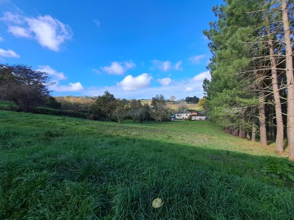 Maison traditionnelle de plain-pied avec ses terres et son ruisseau