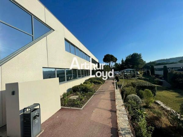 Bureaux à louer de 428 m² bâtiment rénové - Sophia Antipolis