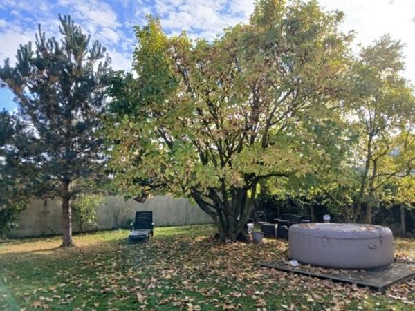 LA FERTE SOUS JOUARRE