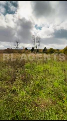 À VENDRE – Magnifique terrain  plat de 4 800 m² à Ronchères (Yonne)