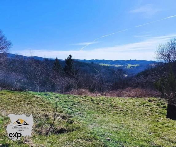 Propriété avec Grand Terrain et Dépendances