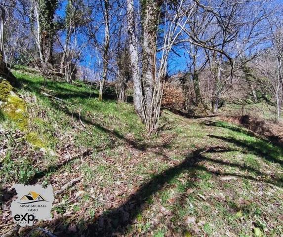 Propriété avec Grand Terrain et Dépendances