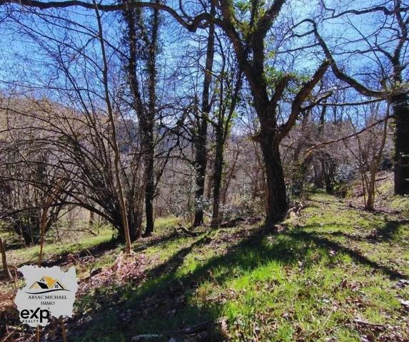 Propriété avec Grand Terrain et Dépendances