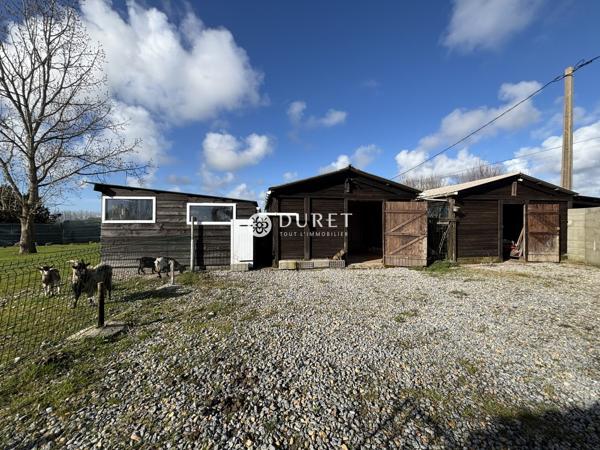 Maison en pierre avec vue sur les marais de Sallertaine – Terrain de plus d’1,3 hectare