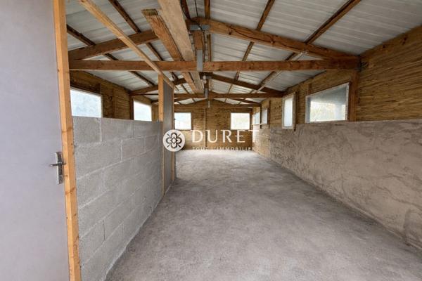 Maison en pierre avec vue sur les marais de Sallertaine – Terrain de plus d’1,3 hectare