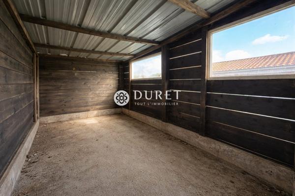Maison en pierre avec vue sur les marais de Sallertaine – Terrain de plus d’1,3 hectare