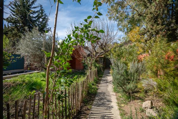 Arles (13200) Rare, Maison de ville avec jardin, piscine et garage à 5 minutes à pied du centre historique.