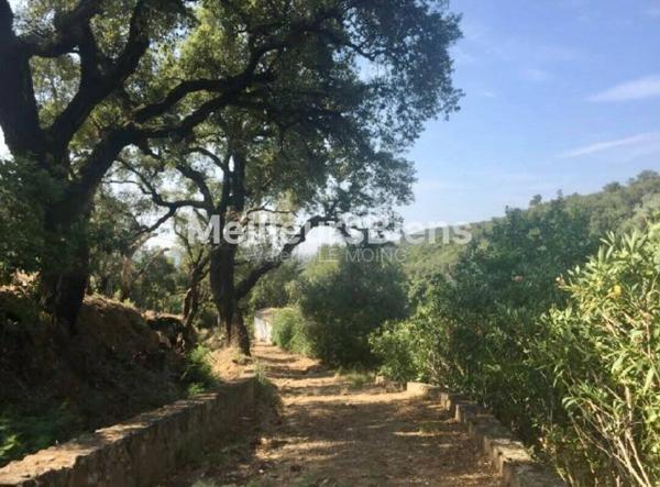 Sainte-Maxime- Bergerie 250m2 vue golfe de Saint-Tropez