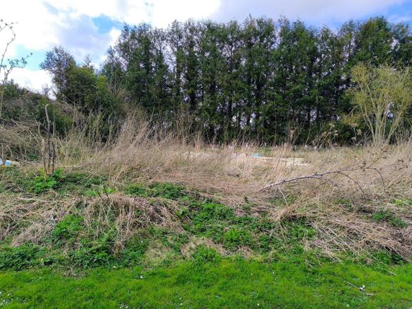TERRAIN LOISIR