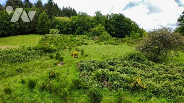Terrain de 6 775 m² à St Quentin La Chabanne