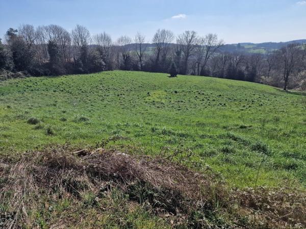 Vente / Maison en pierre