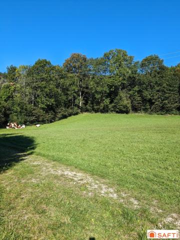 Terrain à bâtir 6471m²