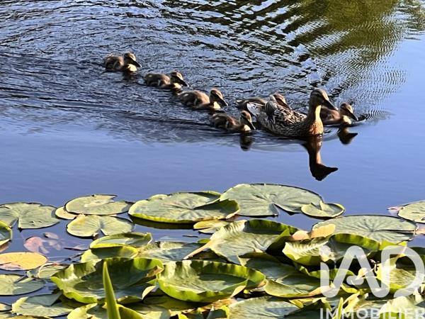 Appartement à vendre 3 pièces 43,4 m² Six-Fours-les-Plages