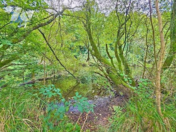 Longère au bord de la rivière sur 7 000 m², offrant vastes pièces de vie (117 m²), cuisine équi...