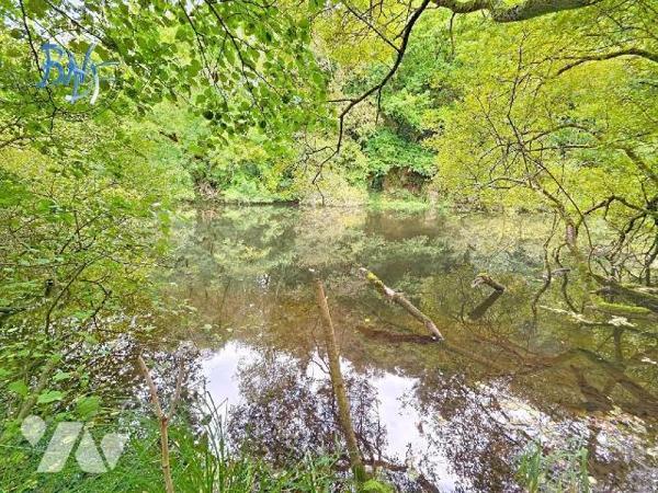 Longère au bord de la rivière sur 7 000 m², offrant vastes pièces de vie (117 m²), cuisine équi...