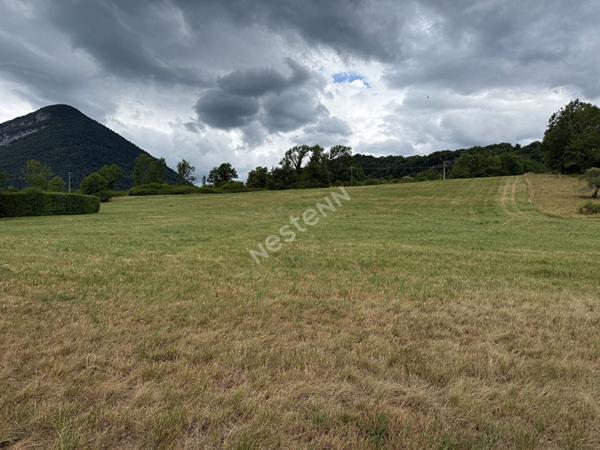 Terrain agricole de 817 m², à vendre sur la commune de Talloires Montmin