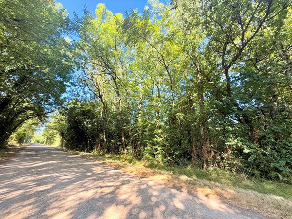 Terrain Boisé de 7830 m²