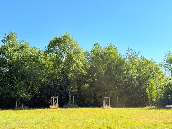 Terrain Boisé de 7830 m²