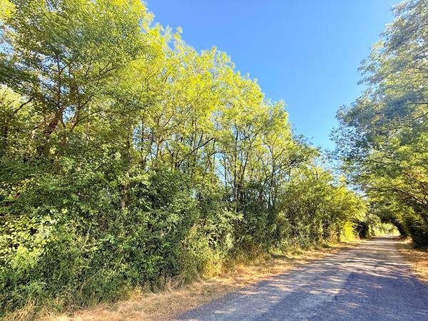 Terrain Boisé de 7830 m²