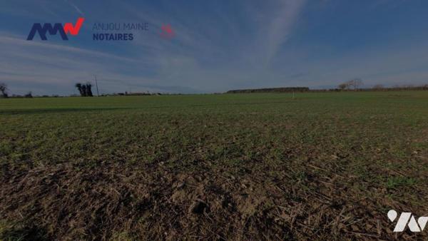 PRECIGNE-PARCELLES DE TERRES AGRICOLES LOUEES-REF:VDL2143