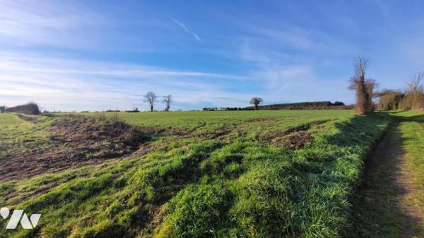 PRECIGNE-PARCELLES DE TERRES AGRICOLES LOUEES-REF:VDL2143
