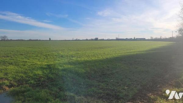 PRECIGNE-PARCELLES DE TERRES AGRICOLES LOUEES-REF:VDL2143