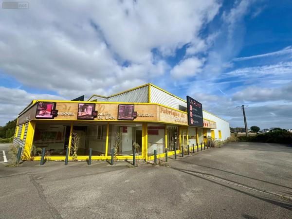 Achat - Fonds et/ou murs commerciaux Pluméliau-Bieuzy 56930 8 pièces 1540 m 2