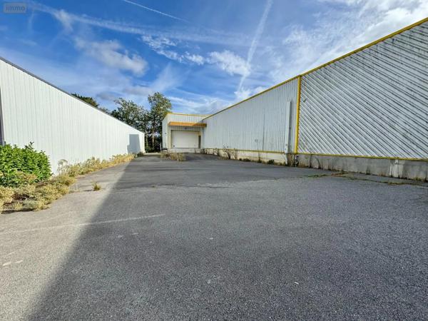 Achat - Fonds et/ou murs commerciaux Pluméliau-Bieuzy 56930 8 pièces 1540 m 2