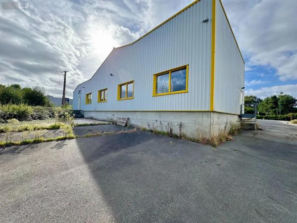 Achat - Fonds et/ou murs commerciaux Pluméliau-Bieuzy 56930 8 pièces 1540 m 2
